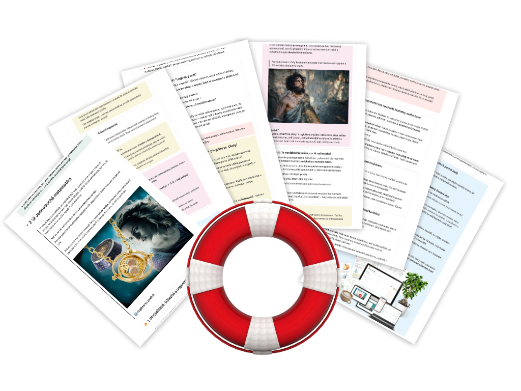 🎁 BONUS #2: Mapa celého postupu (PDF + Notion verze)